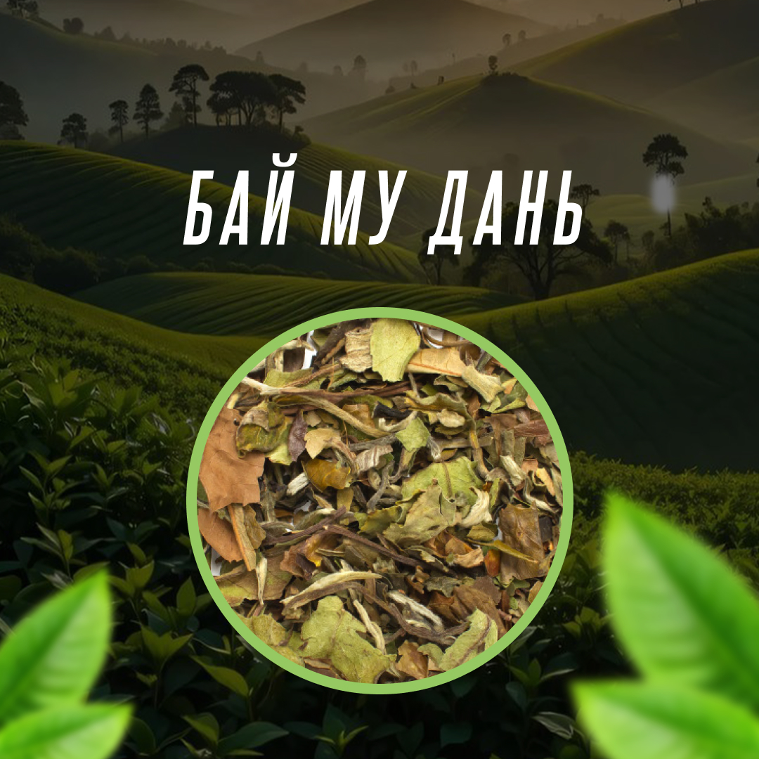 Бай Му Дань