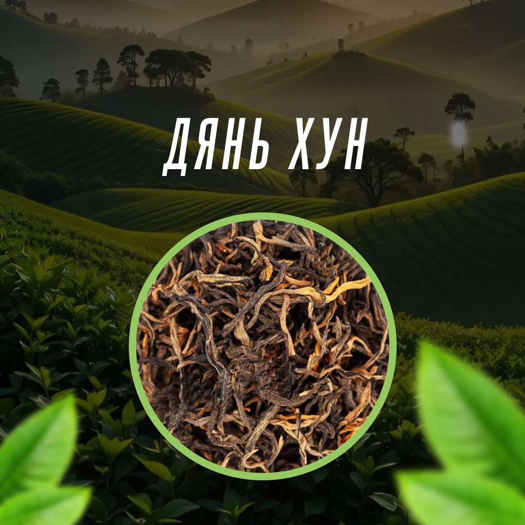 Дянь Хун