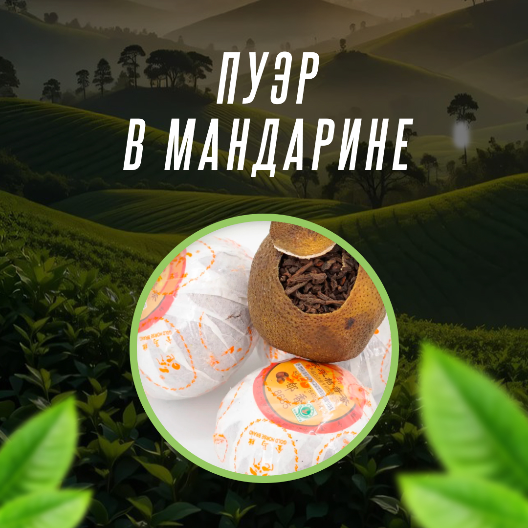 Пуэр в мандарине