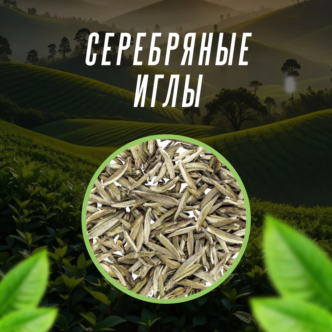 Серебряные иглы