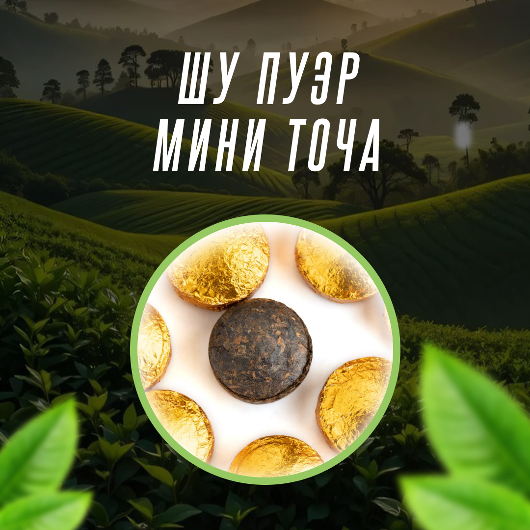Шу Пуэр мини точа