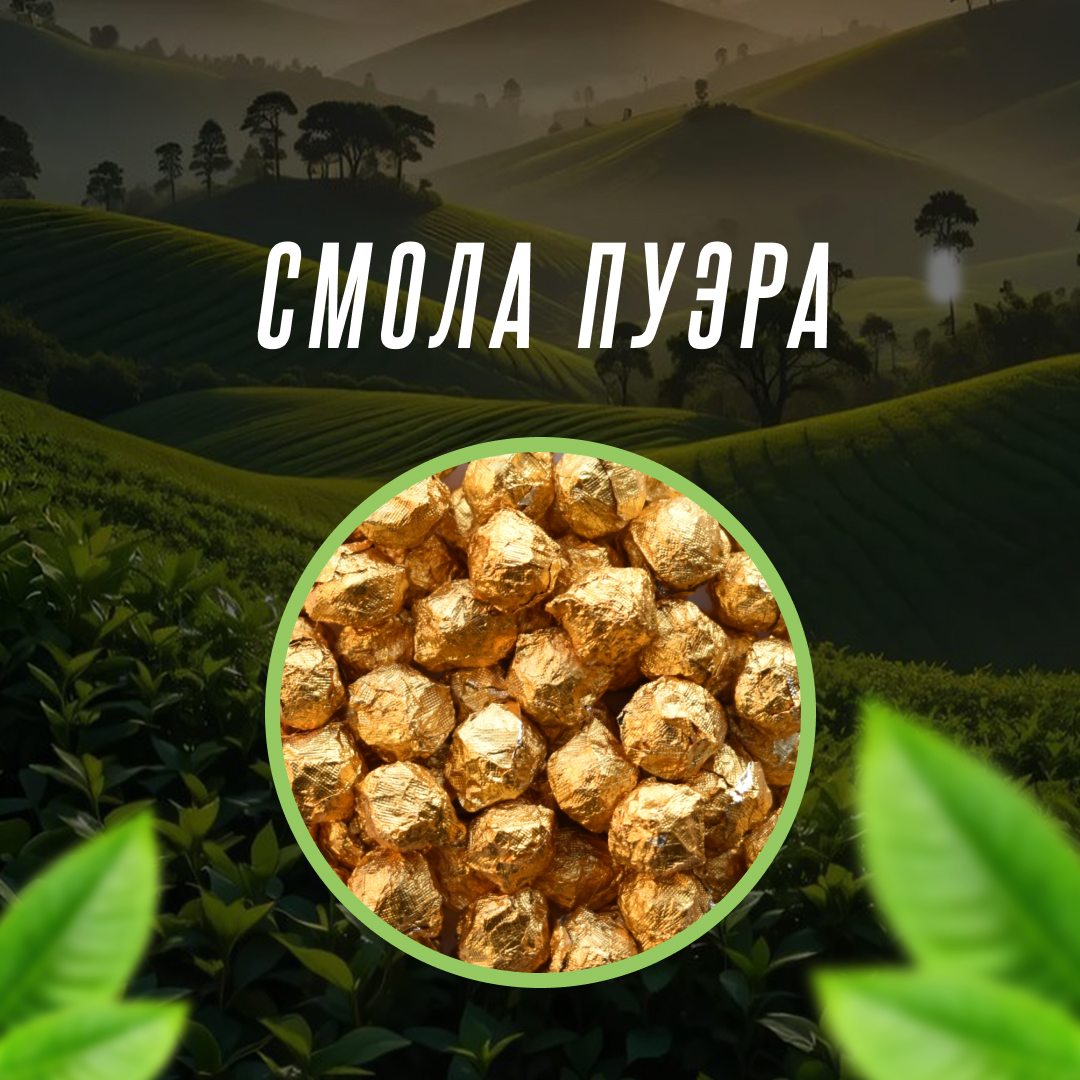 Смола пуэра