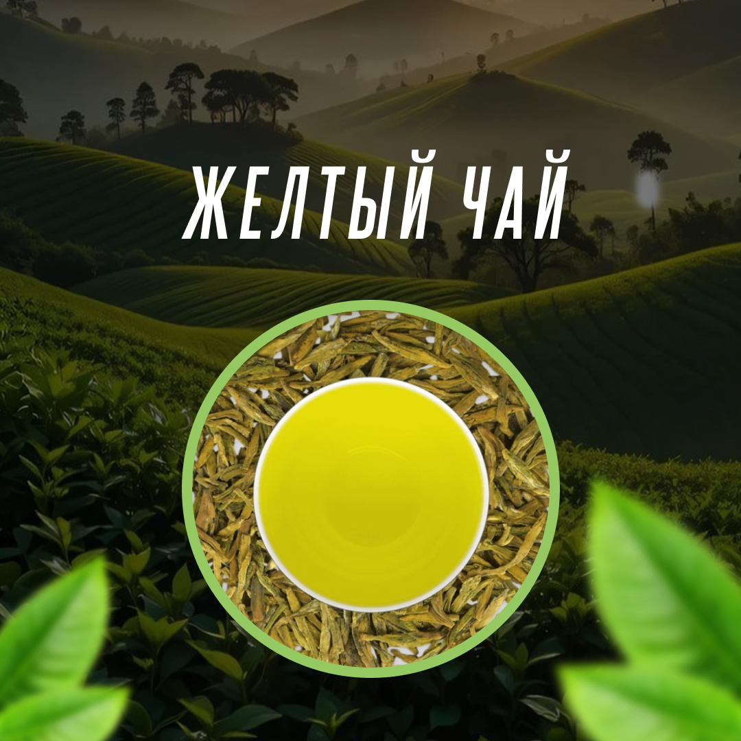 Желтый чай